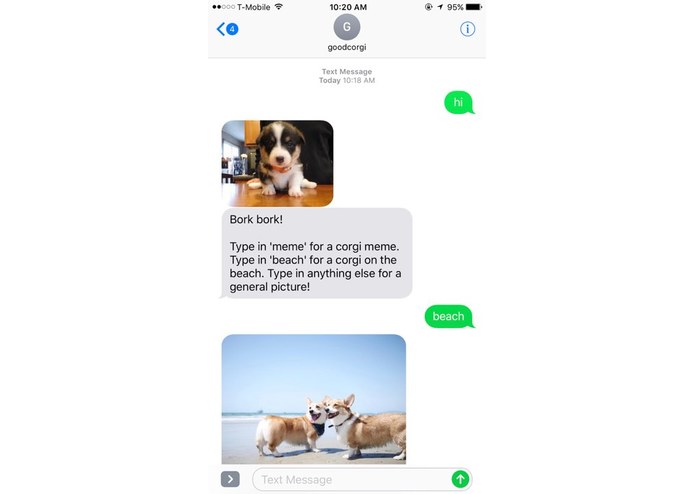 Good Corgi – screenshot 1