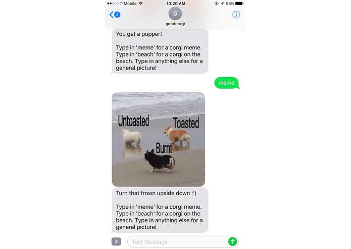 Good Corgi – screenshot 2