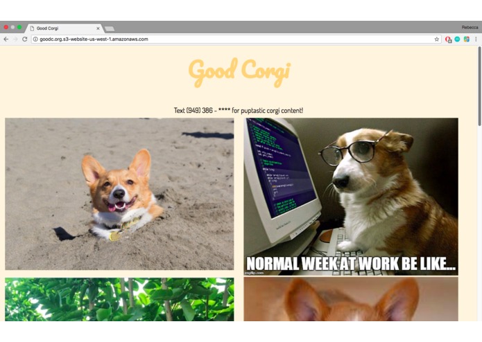 Good Corgi – screenshot 3