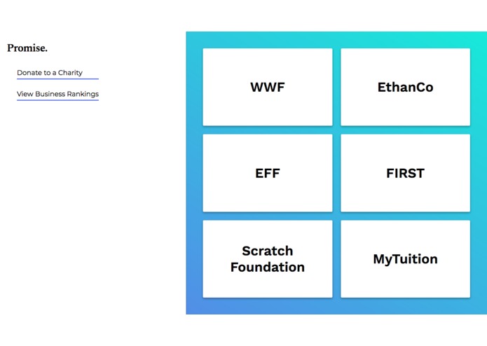 Promise – screenshot 2