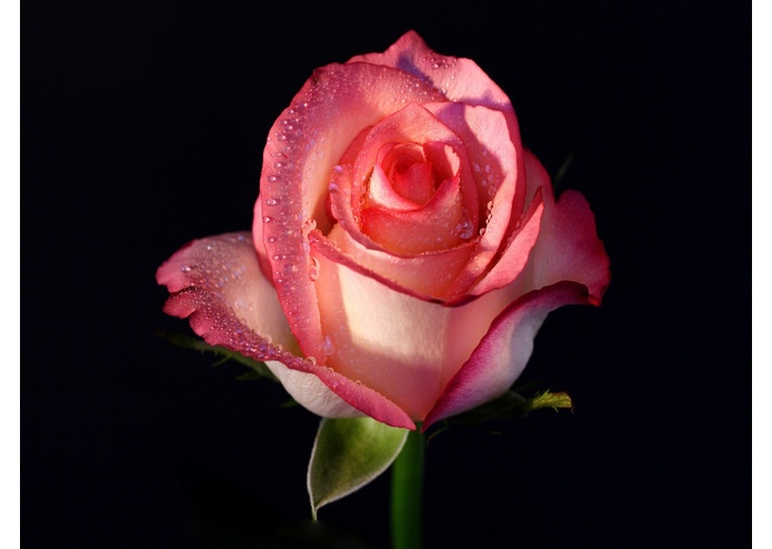 SPECTRAcular – screenshot 5