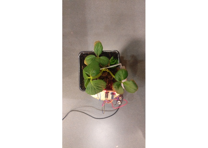 RoboCrop – screenshot 10