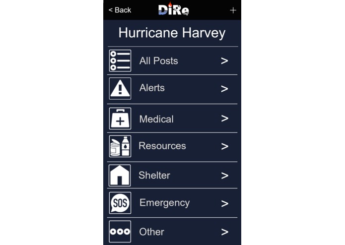 DiRe – screenshot 1