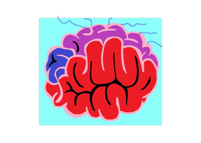 SeizSafe – screenshot 1