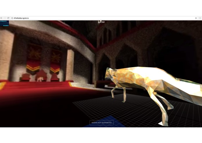 Baur.Collada.Fox.360Video – screenshot 1