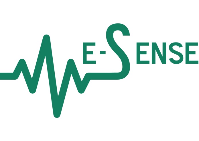 e-Sense – screenshot 2