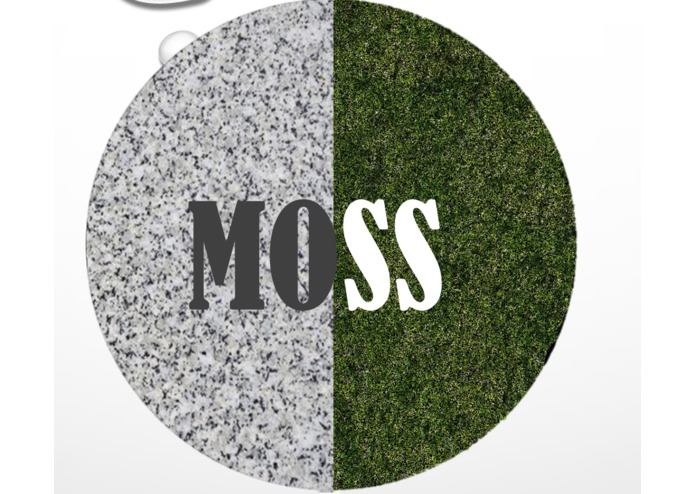 M.O.S.S. – screenshot 1