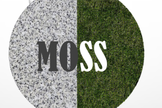 M.O.S.S.
