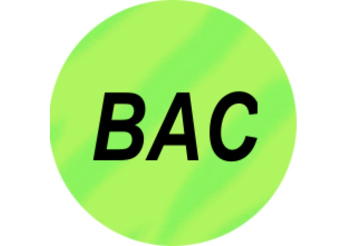 Bust-a-Comp – screenshot 1