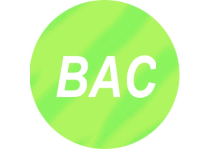 Bust-a-Comp – screenshot 5