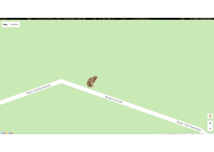 Save Animals – screenshot 4
