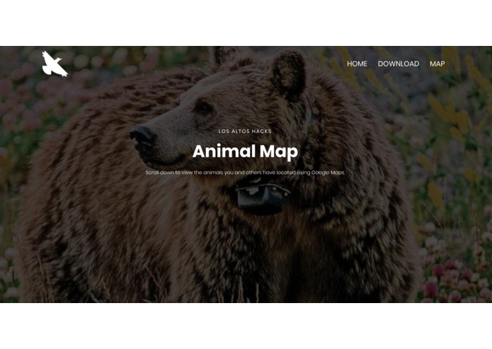 Save Animals – screenshot 11