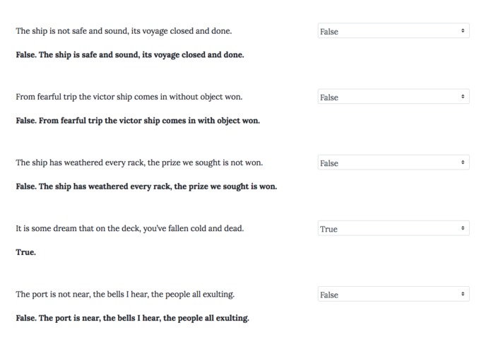 Questionator 3000 – screenshot 8