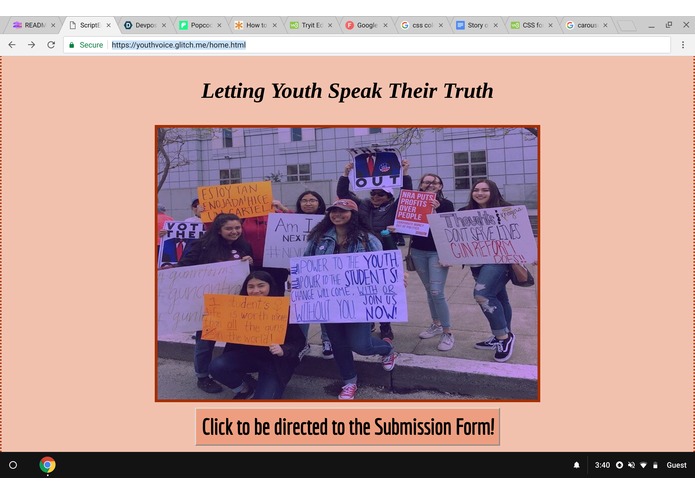 Youth Voice – screenshot 1