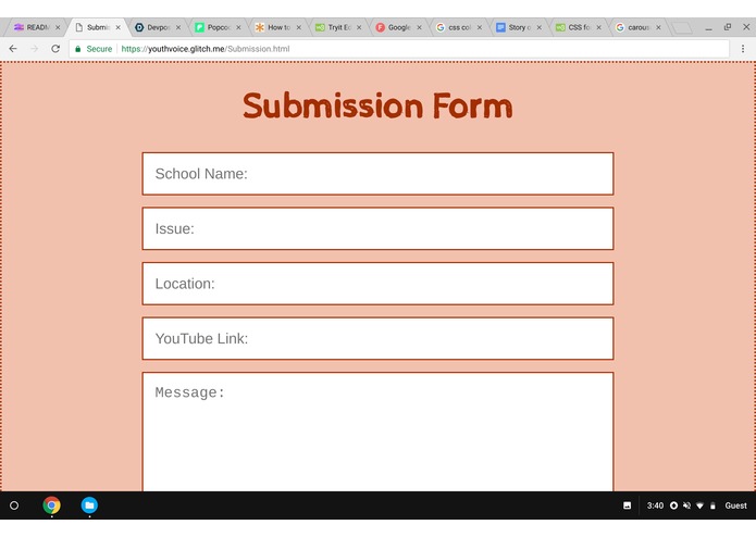 Youth Voice – screenshot 2