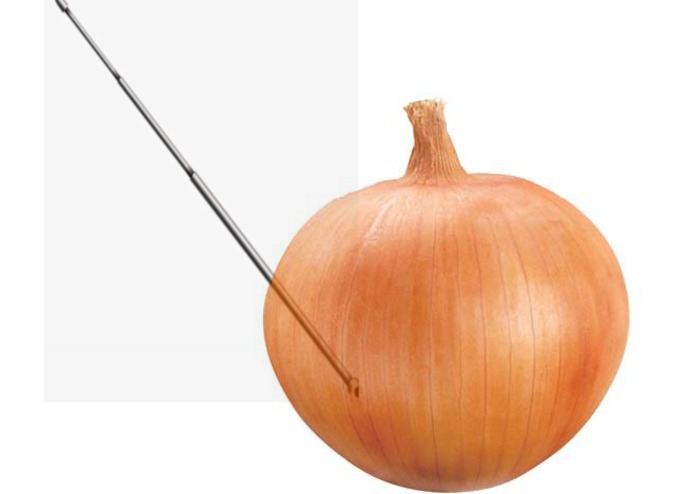 Tor: The Onion Router – screenshot 1