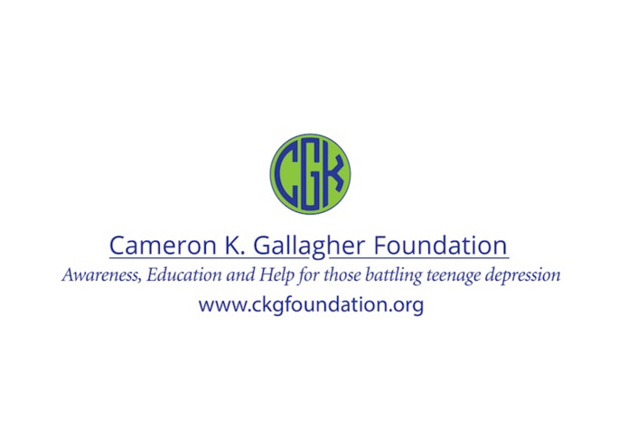 Alexa, SpeakUp for Teenage Depression! – screenshot 2