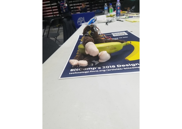 Furious George – screenshot 1