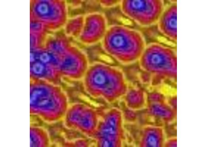 texture synthesis – screenshot 1