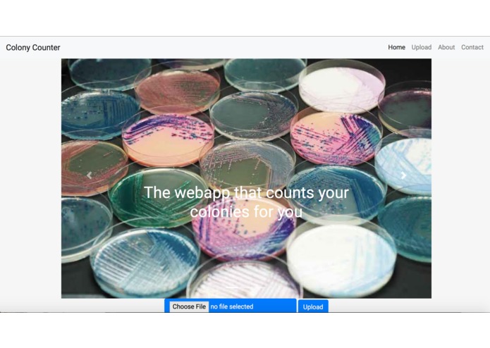 ColonyCounter – screenshot 1