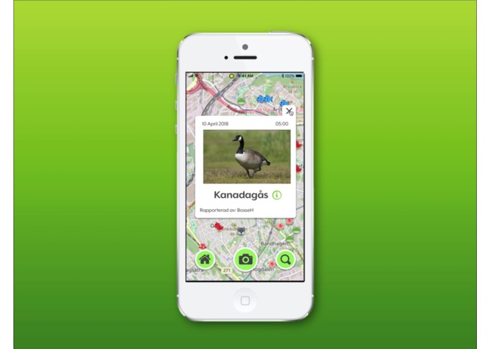 Biologg – screenshot 2