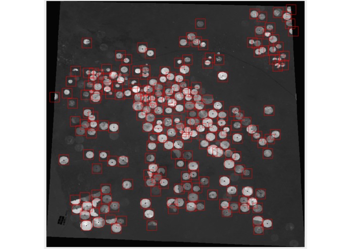 Detect Central Pivot Irrigation to Monitor Groundwater – screenshot 4