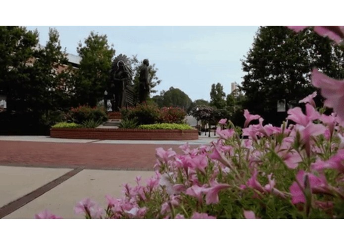 CodeWell – screenshot 7