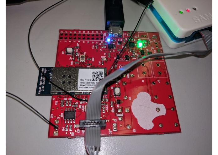 EverGreen – screenshot 1