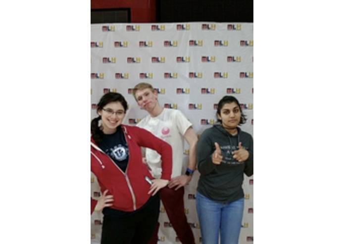 Web-Libs! – screenshot 2