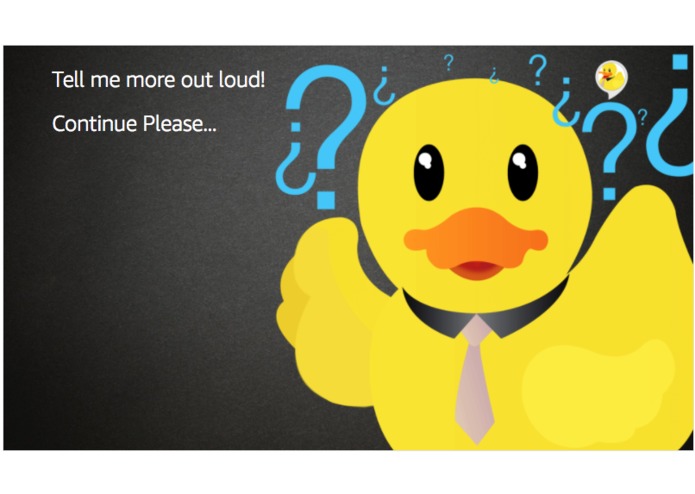 Rubber Duck Alexa Skill – screenshot 3