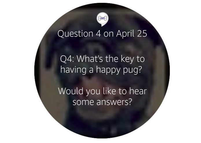 PugChat Alexa Skill – screenshot 2