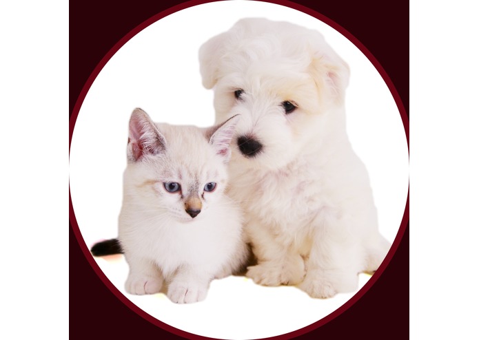 Adoptable Friends – screenshot 1