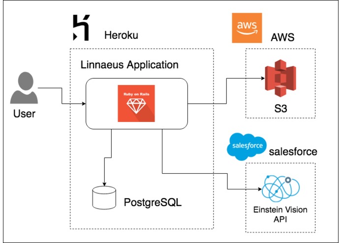 Linnaeus（リンネ） – screenshot 3