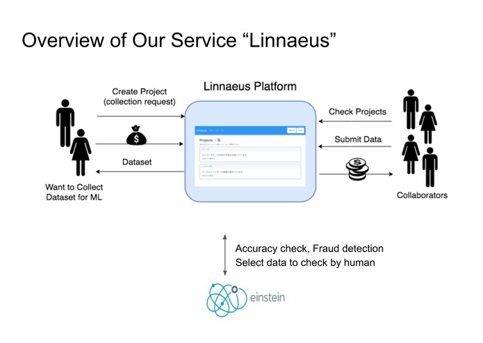 Linnaeus（リンネ） – screenshot 2
