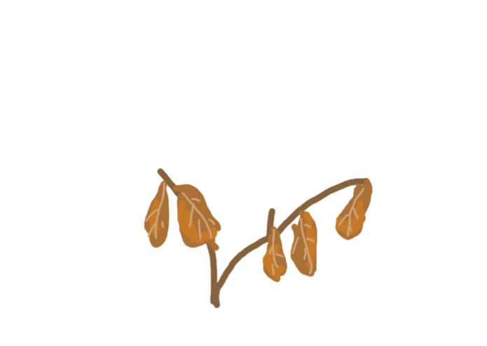 WaterYouDoing – screenshot 4