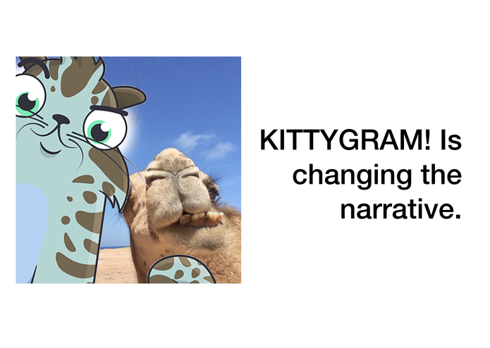 KITTYGRAM – screenshot 4