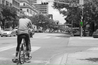 Alternative Mobility Support System