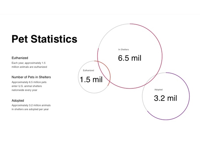 Petz – screenshot 4