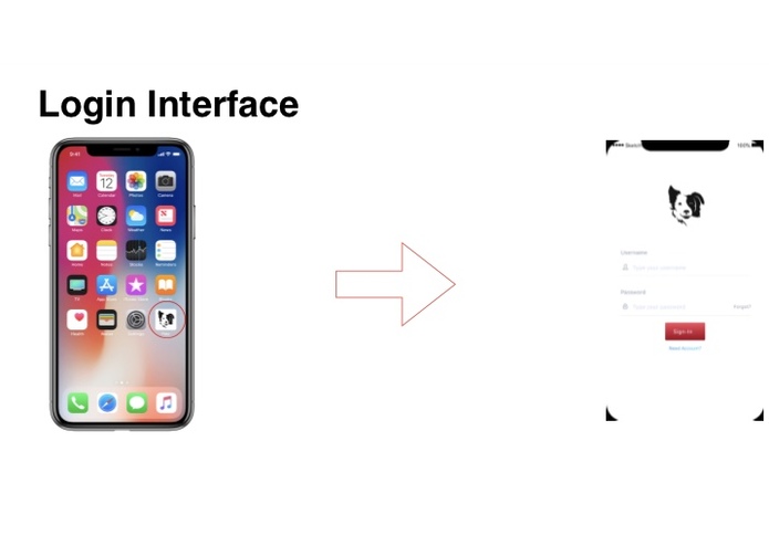 Petz – screenshot 5