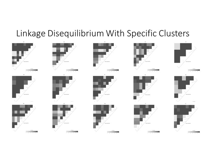 CYP450 Mutations Phylogenetic Tree using Causal Model – screenshot 5
