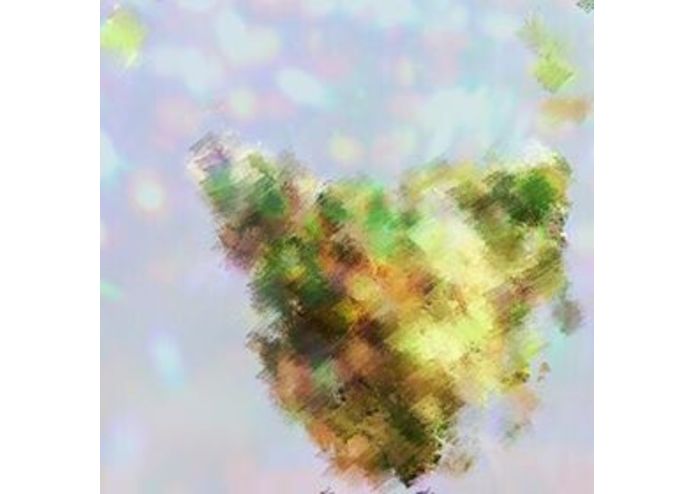 Hidden Tasmania – screenshot 1