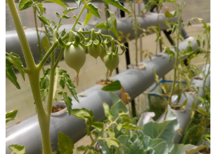 the smart green house – screenshot 3