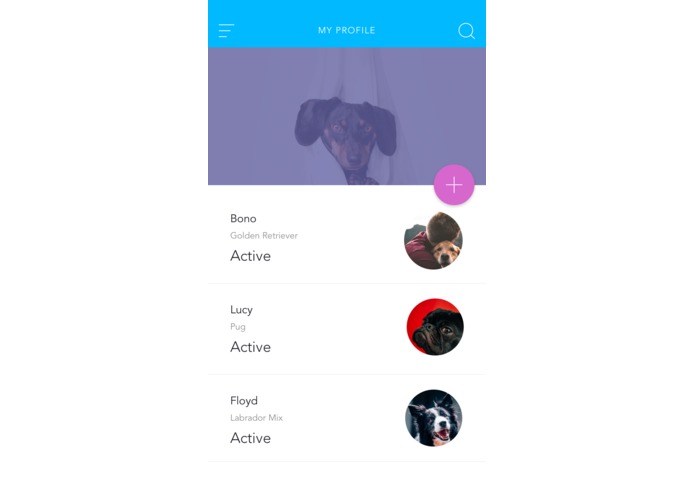 Where's Fido? – screenshot 4
