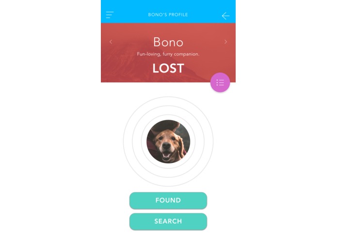 Where's Fido? – screenshot 6
