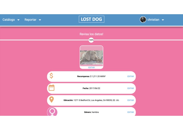 Lostdog.mx – screenshot 2
