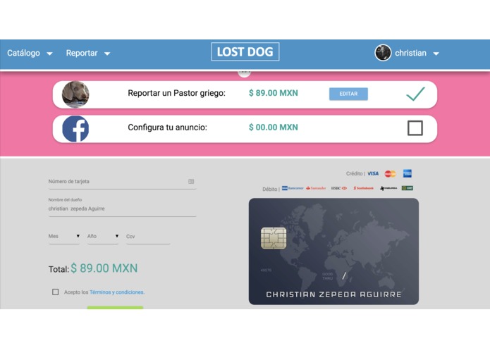 Lostdog.mx – screenshot 5