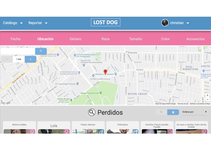 Lostdog.mx – screenshot 6