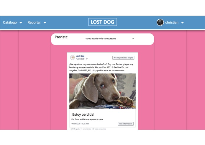 Lostdog.mx – screenshot 7