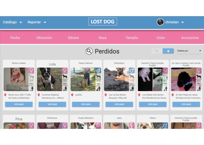 Lostdog.mx – screenshot 8