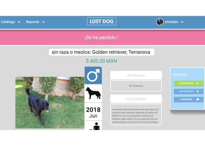 Lostdog.mx – screenshot 11